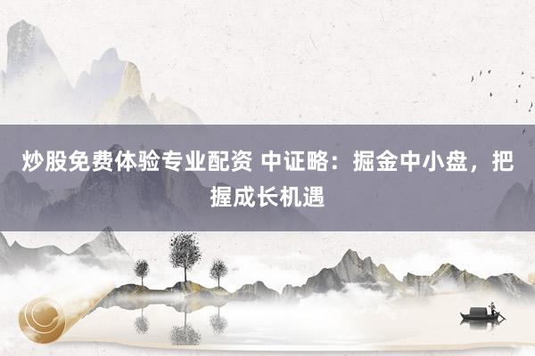 炒股免费体验专业配资 中证略：掘金中小盘，把握成长机遇