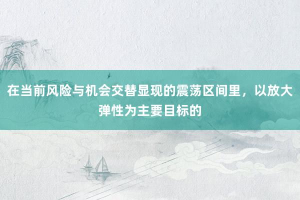 在当前风险与机会交替显现的震荡区间里，以放大弹性为主要目标的