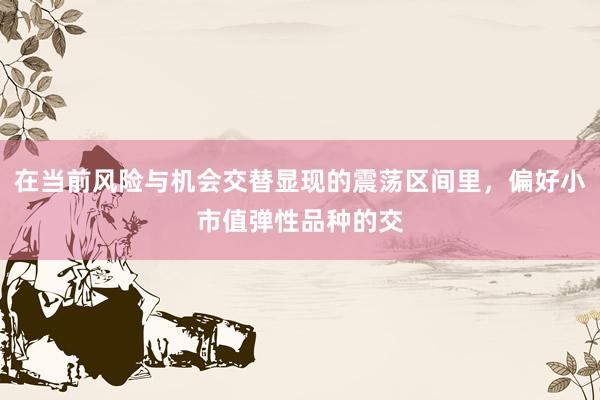 在当前风险与机会交替显现的震荡区间里，偏好小市值弹性品种的交