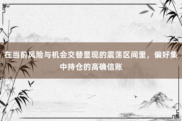 在当前风险与机会交替显现的震荡区间里，偏好集中持仓的高确信账