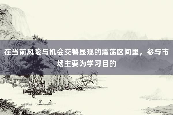在当前风险与机会交替显现的震荡区间里，参与市场主要为学习目的
