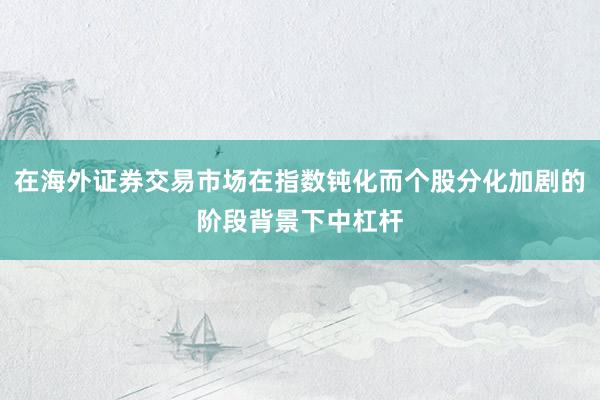 在海外证券交易市场在指数钝化而个股分化加剧的阶段背景下中杠杆