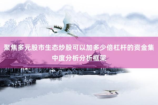 聚焦多元股市生态炒股可以加多少倍杠杆的资金集中度分析分析框架