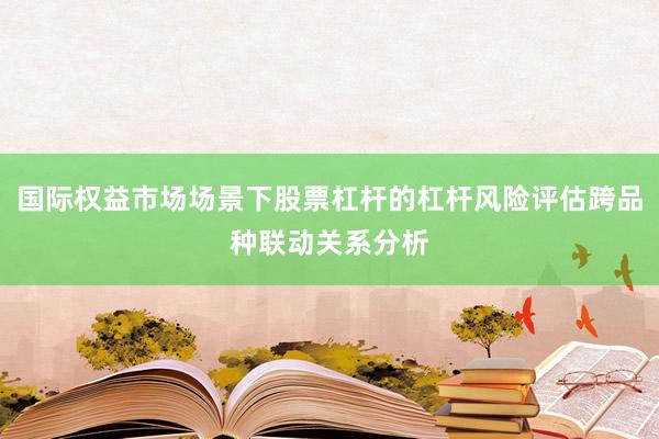 国际权益市场场景下股票杠杆的杠杆风险评估跨品种联动关系分析