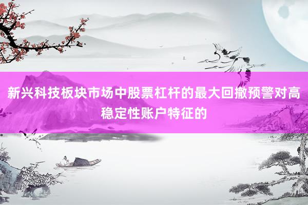 新兴科技板块市场中股票杠杆的最大回撤预警对高稳定性账户特征的