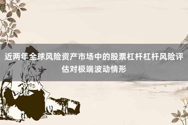近两年全球风险资产市场中的股票杠杆杠杆风险评估对极端波动情形