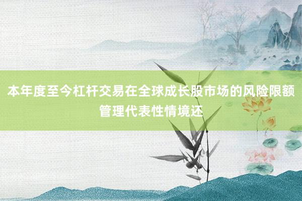 本年度至今杠杆交易在全球成长股市场的风险限额管理代表性情境还