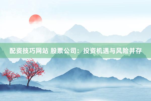 配资技巧网站 股票公司：投资机遇与风险并存