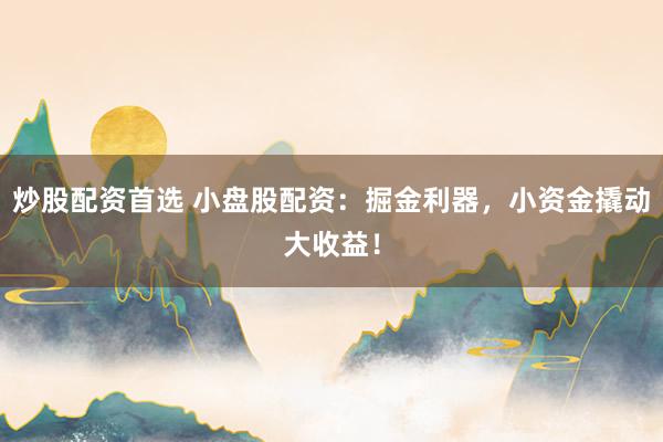 炒股配资首选 小盘股配资：掘金利器，小资金撬动大收益！